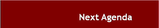 Text Box:              Next Agenda